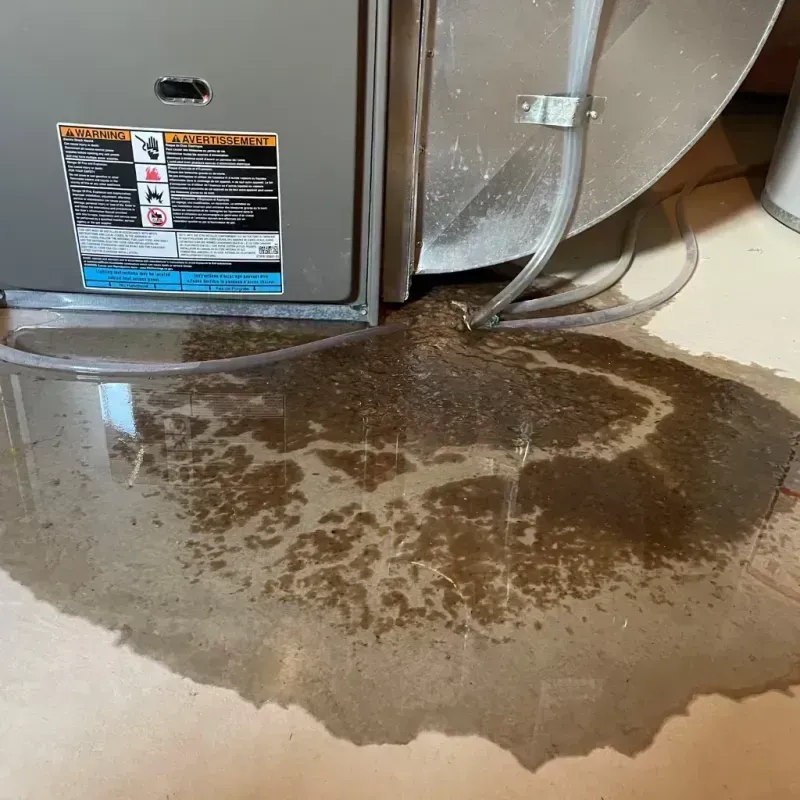 Appliance Leak Cleanup in Kittery, ME